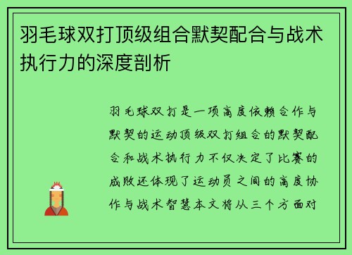 羽毛球双打顶级组合默契配合与战术执行力的深度剖析
